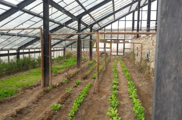 agro11