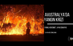 avust son