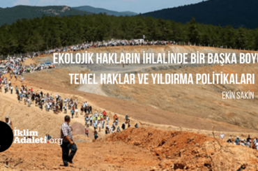Ekin-kapak-min